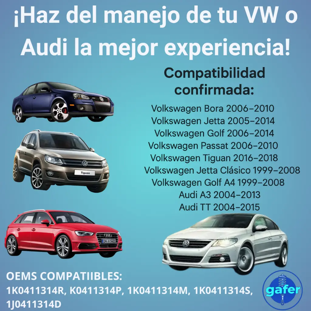 963-BABORA-FLYER.webp