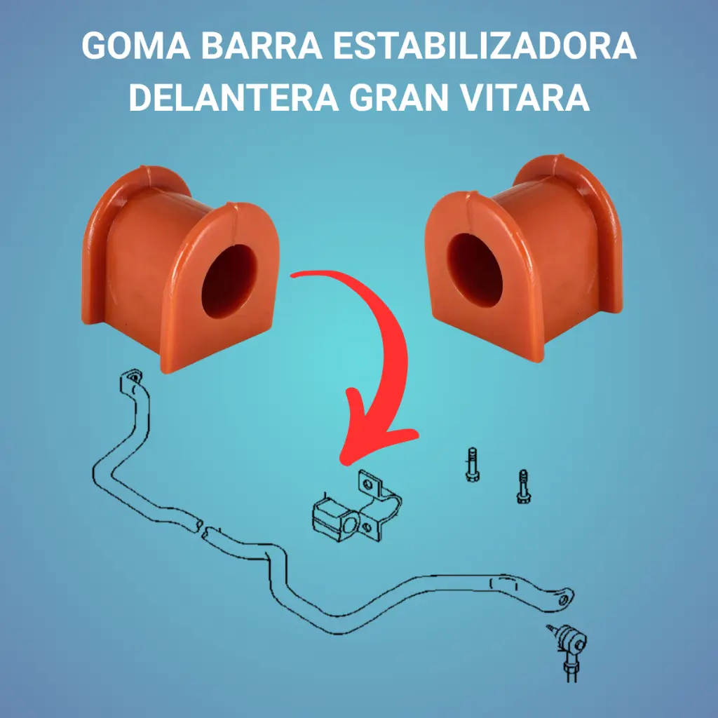 ZBGRAVIT_DIAGRAMA.webp