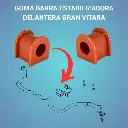 ZBGRAVIT_DIAGRAMA.webp