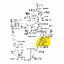 Sin título (1600 x 1600 px).webp