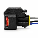 conector-inyector-ford-jeep1.webp