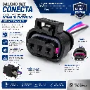 arnes-comector-bobina-CALIDAD.webp