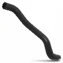 M3161-2.webp