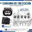 arnes-conector-bobina-DIAGRAMA DE USO.webp