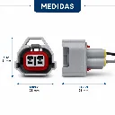 arnes-conector2vias-MEDIDAS.webp