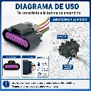 arnes-conector-bobina-DIAGRAMA.webp