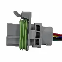 conector-bomba-gasolina-sello-verde-aptiv-delphi-sicma-2-8-4.webp