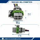 conector-bomba-gasolina-sello-verde-aptiv-delphi-sicma-2-8-medidas.webp