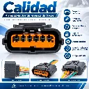 103-XCONE139-CALIDAD.webp