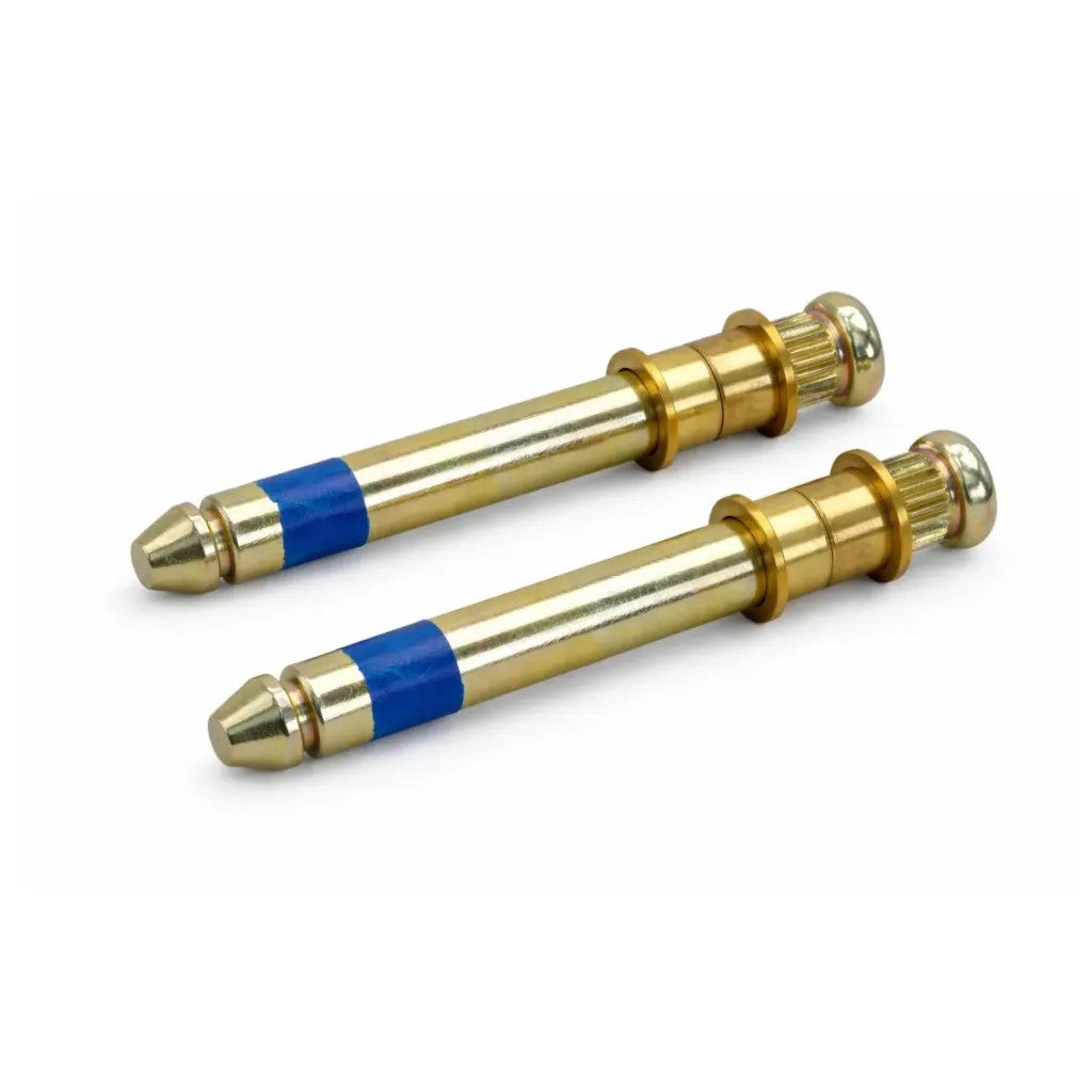 [100-PP63 (2)] Kit 2 Pernos de Bisagra de Puerta – Toyota Hiace