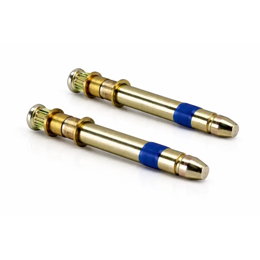 [100-PP66 (2)] Kit 2 Pernos de Bisagra de Puerta con Ranura – Nissan March / Tiida / Modelos Nuevos